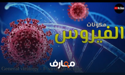 علم الفيروسات