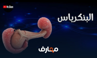 تحليل البنكرياس