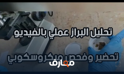 تحليل البراز