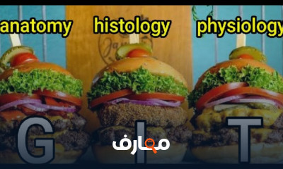 شروط تحليل البراز