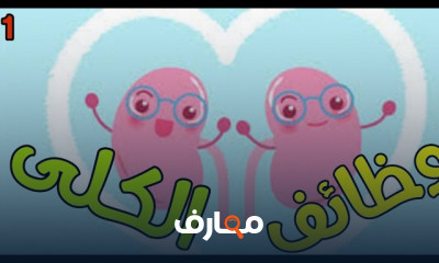 تحليل وظائف الكلى
