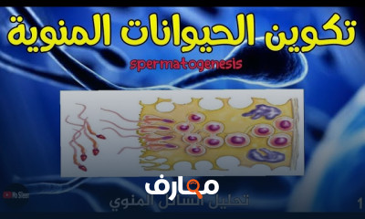 تحليل السائل المنوي