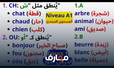 قواعد اللغة الفرنسية