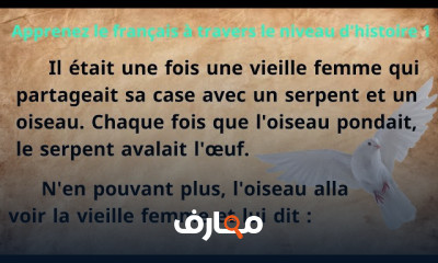 أساسيات القراءة للقصص الفرنسية