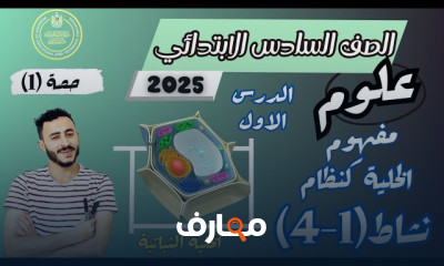 علوم الصف السادس ترم أول