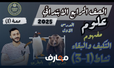 علوم الصف الرابع الترم الأول
