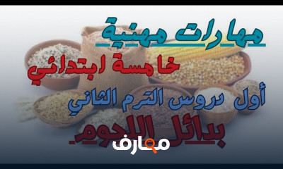 مهارات مهنية للصف الخامس ترم 2