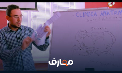 تشريح عظام الحوض للمرأة