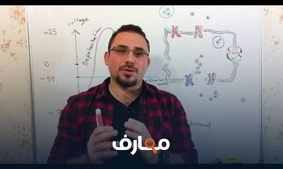 تشريح الجهاز السمبثاوي