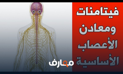علاج ضعف الأعصاب بالفيتامينات