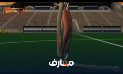 اصلاح الرباط الصليبي الجانبي