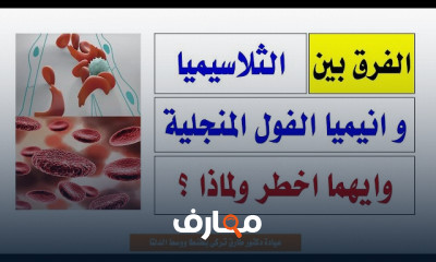 أطعمة لتنشيط الدورة الدموية
