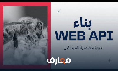 خطوات بناء Web API