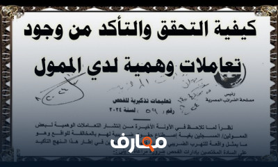 التعليمات التنفيذية والقرارات
