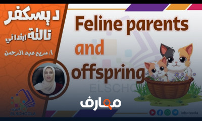 ديسكفر Discover ثالثة ابتدائي