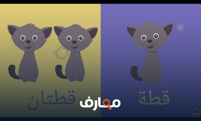 قواعد اللغة العربية للأطفال