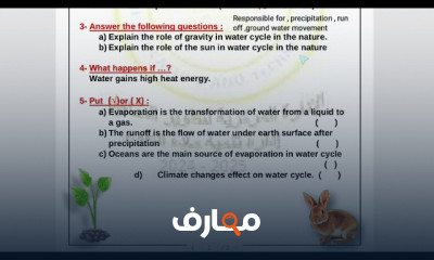 التقييمات الوزارية Science grade 6