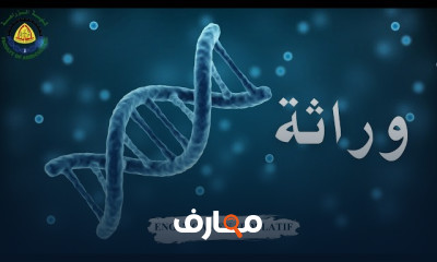 مادة وراثة كلية زراعة