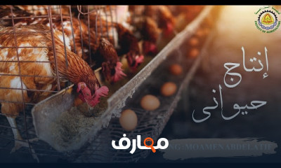 مادة انتاج حيواني كلية زراعة