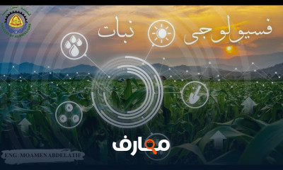 مادة نبات فسيولوجي كلية زراعة
