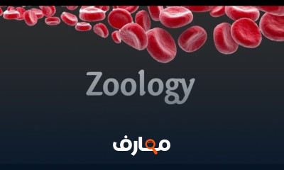 مادة الحيوان الزراعي كلية زراعة