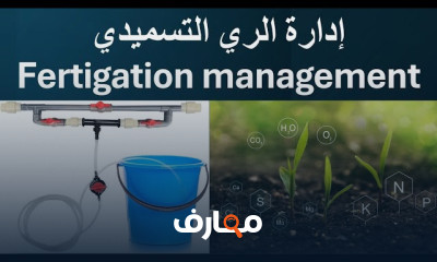 إدارة الري التسميدي