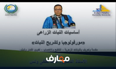 مورفولوجيا وتشريح النبات