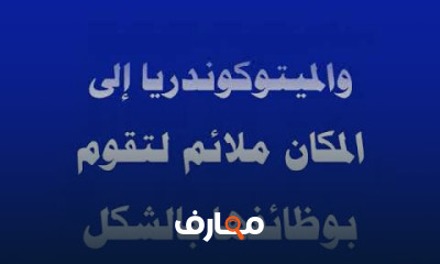 فسيولوجيا نبات خاص فسيولوجيا نبات خاص