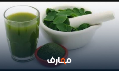 طريقة استخدام نبات الخولنجان