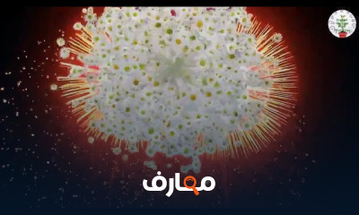 فسيولوجيا النبات أولى بيولوجى