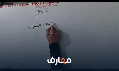 النمو والتنظيم الهرمونى