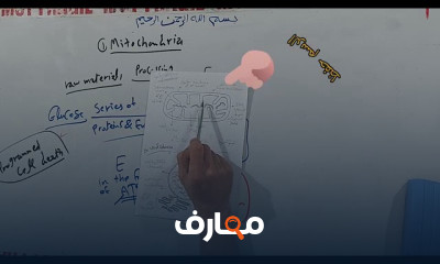 فسيولوجيا النبات الجزيئية