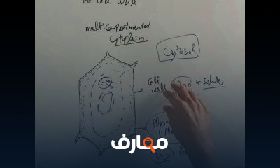 علاقات مائيه وتغذية النبات