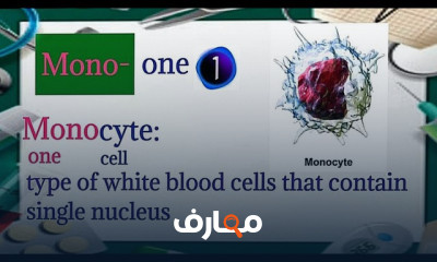 المصطلحات الطبية كاملة