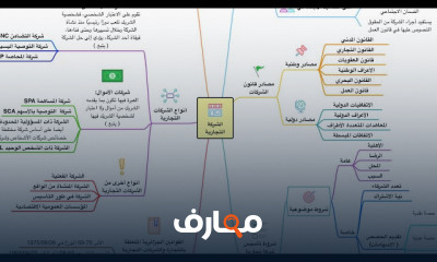 الشركات التجارية