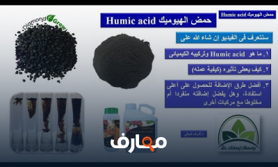خلطة زراعة نباتات الزينة