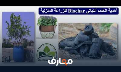 بيئات زراعة الأصص فى المنزل