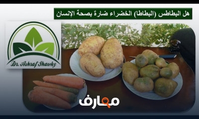 الطريقة الصحيحة لتخزين درنات