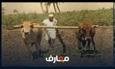 طريقة زراعة البذور بالمنقرة