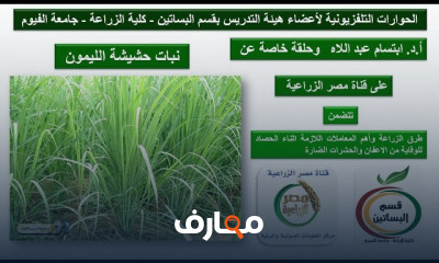 إجراءات قبل زراعة شتلات الخضر إجراءات قبل زراعة شتلات الخضر