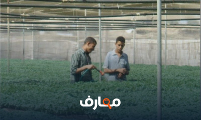 تجهيز خلطة زراعة شتلات الخضر
