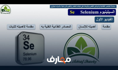 مراحل نمو النبات وعلاقتها ب NPK