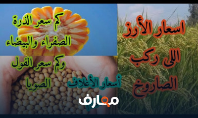 طرق تحجيم وتكبير الثمار