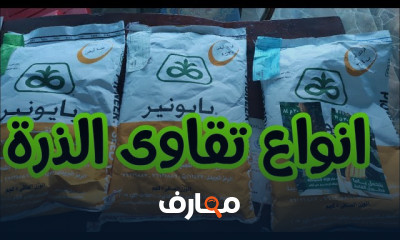 طرق زراعة الذرة