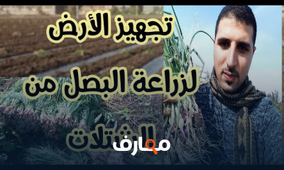 تجهيز الأرض لزراعة البصل