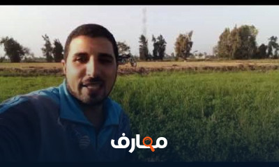 كيفية زراعة البرسيم