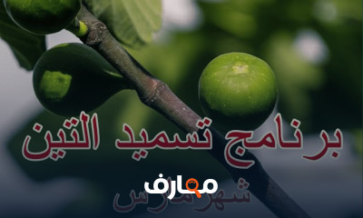 تسميد التين البرشومي