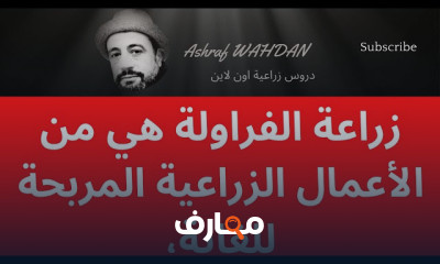 زراعة الفراولة بالمنزل