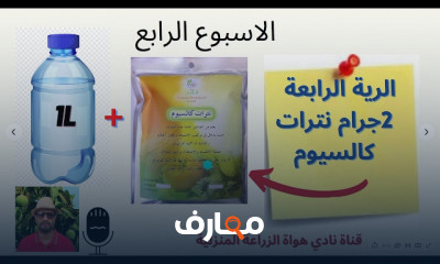 طريقة تسميد أشجار اللوزيات