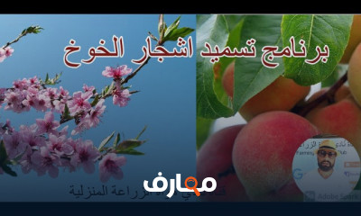 تسميد أشجار الخوخ